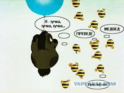У Вини днюха