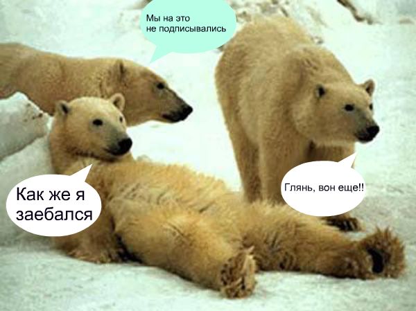 Сколько стоит нынче женщина в Москве?