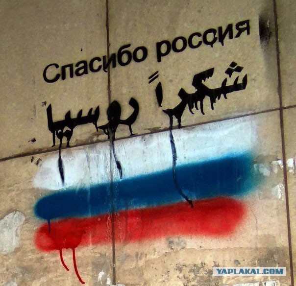 Извинилась за фото с "диктатором"
