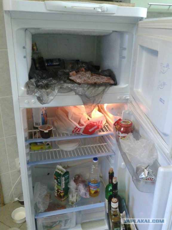 Все умрут, но некоторые не сегодня