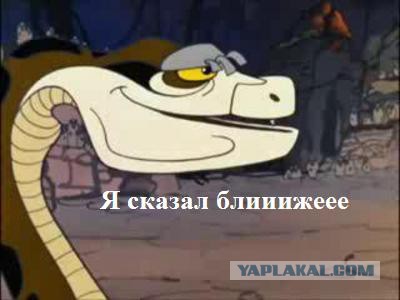 Карикатурки на тему украины...