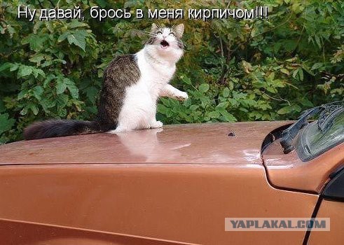 Позитивные картинки