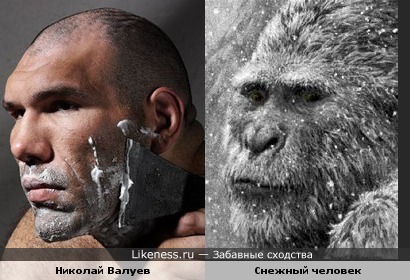Теперь я буду улыбаться,смотря на этих собак