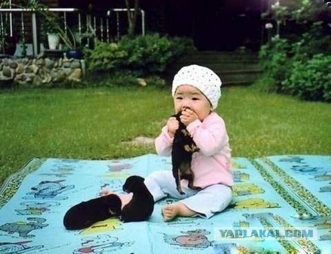 Текст и еще немного фотографий подтверждающих