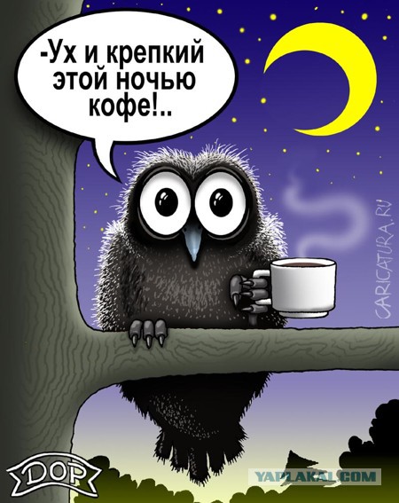Сегодняшний день он у меня запомнит надолго.