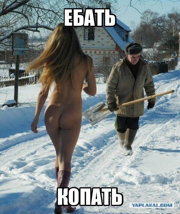 Смешные картинки