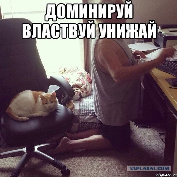 Веселые картинки