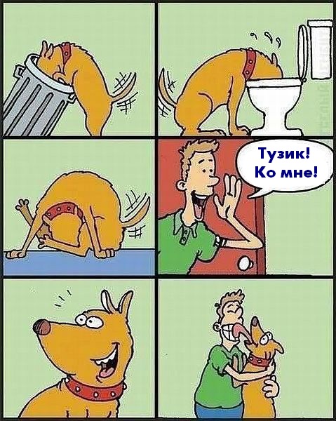 Весёлые картинки