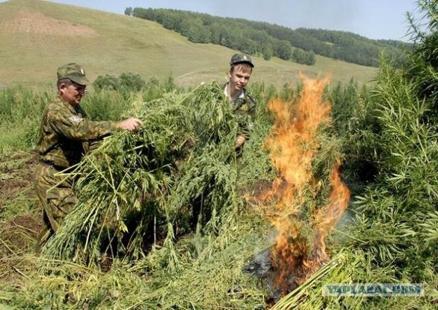 Водку бей, ломай бутылки