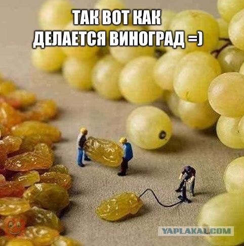 Прикольные картинки из сети