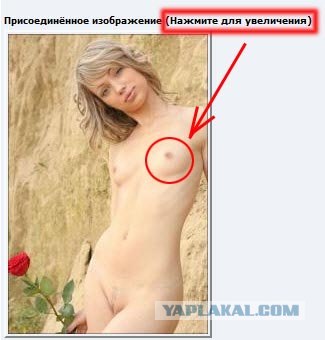 Поддержали девушку