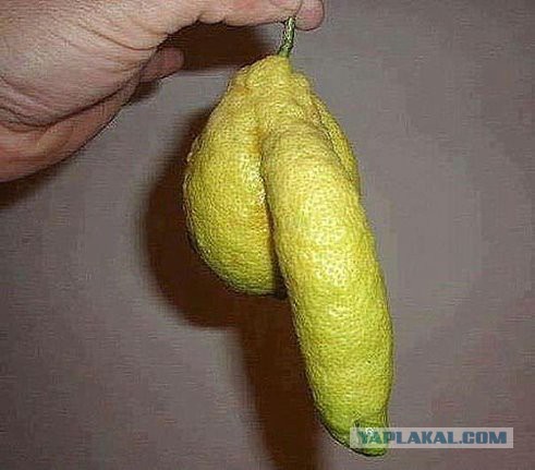 Картинки из сети