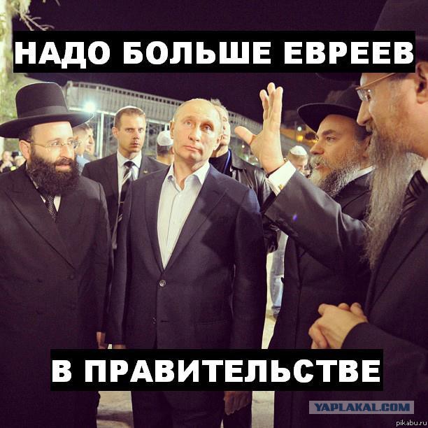 Дворкович пожаловался на дешевую рыбу