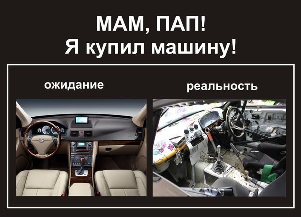 Прикольные картинки