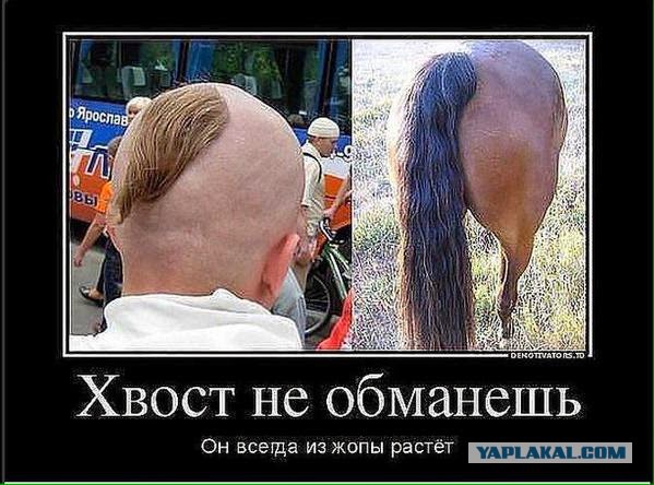 Они скакали в европу