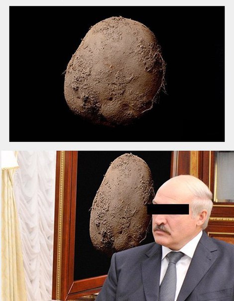 Картинки на пятницу