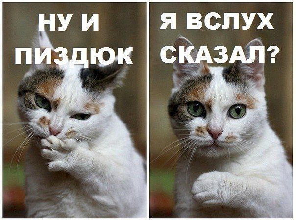Срифмовала фамилию судьи...пришли с обыском