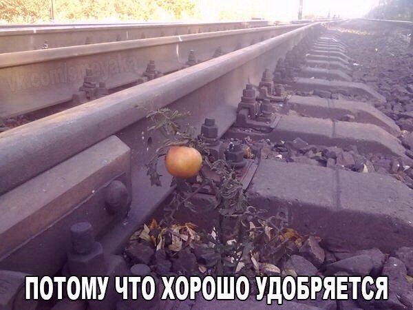40 улыбательных картинок