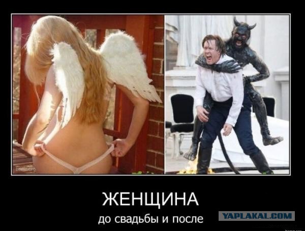 Поженились в кредит