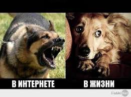 В Киеве Вечный огонь прикрыли плакатом
