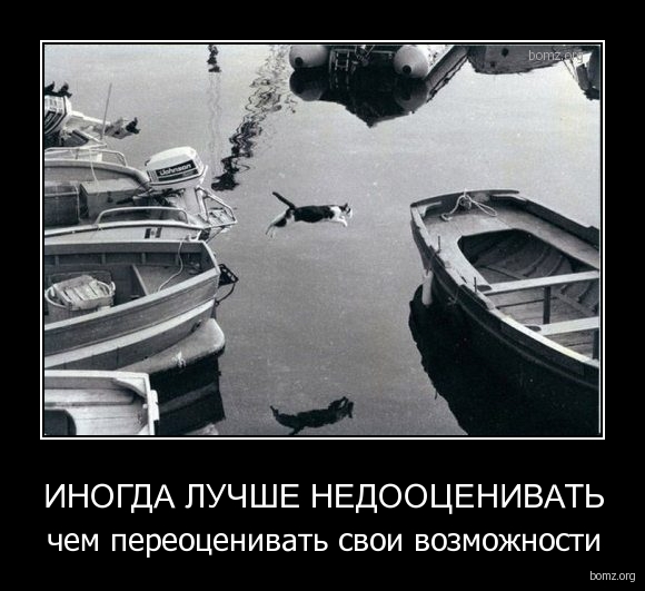Смешные картинки (30 фото)