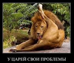 Картинки из интернетов