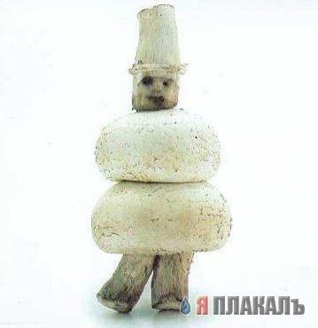ЗВЕРЕОВАЩИ