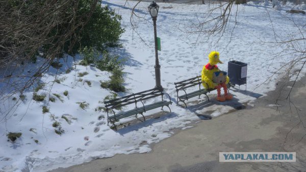 44 картинки - винегрет