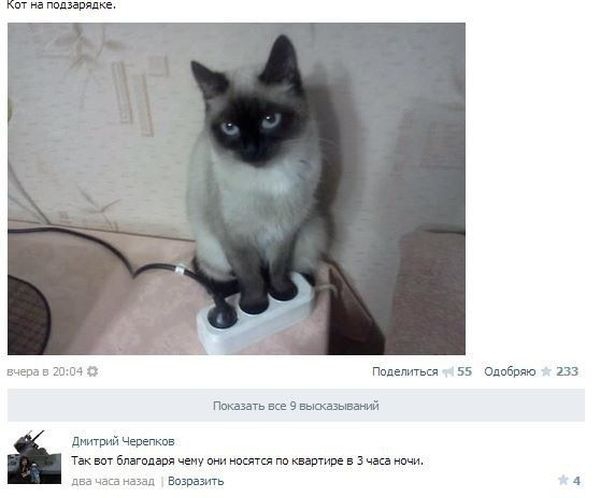 Нас преследует лёгкая деградация Япа