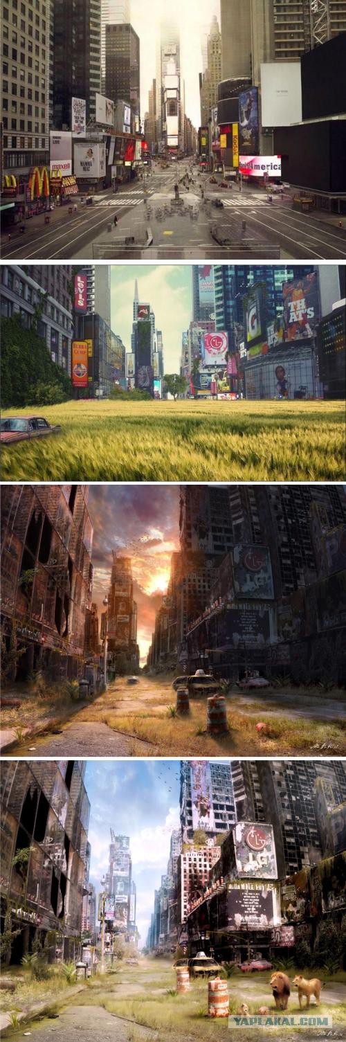 Различные варианты будущего