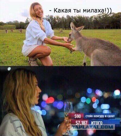 Прикольные картинки на 26.06.217