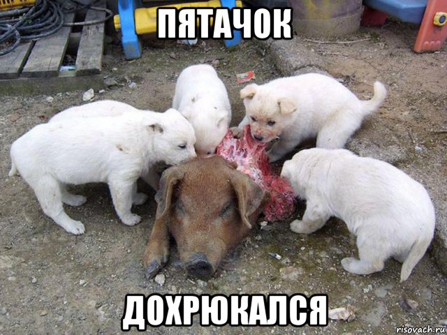 Почерним слегонца? В честь предстоящей пятницы...
