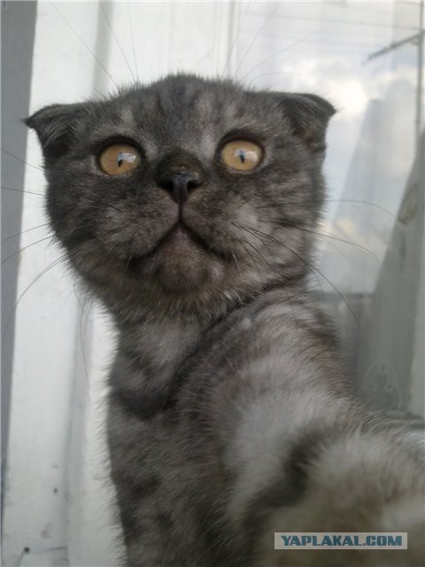 Сфотал себя, пока спал...