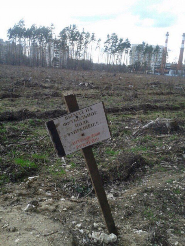 Подборка интересных и веселых картинок
