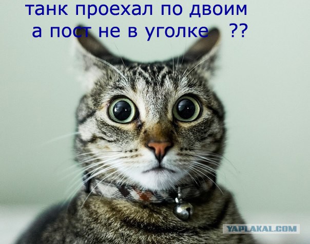 Танк на фестивале «Боевая сталь» переехал человека