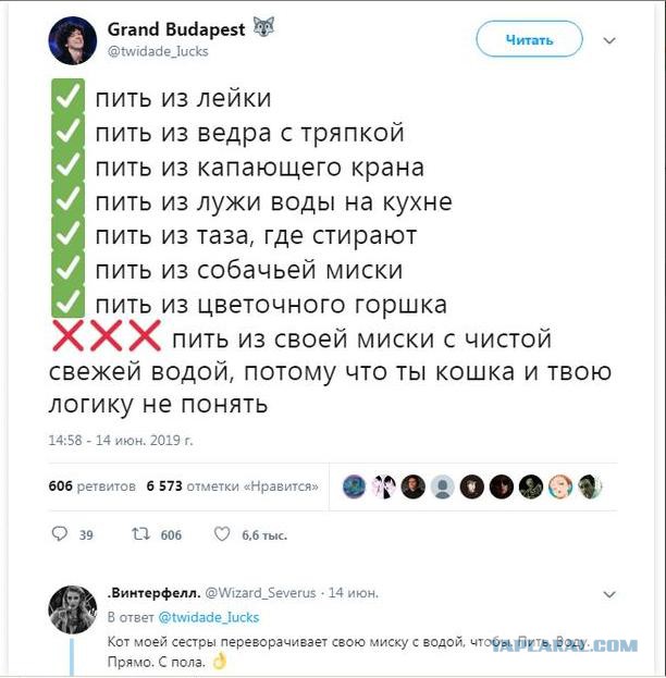 Настраиваем мониторы поярче