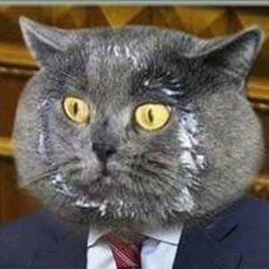 Школы Екатеринбурга закупали сметану с наценкой 7000%