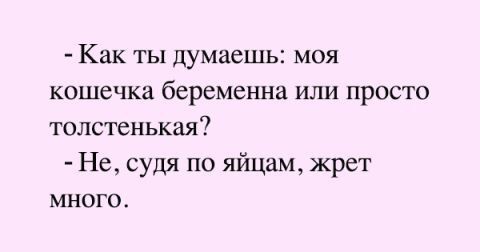 Картинки на воскресный день