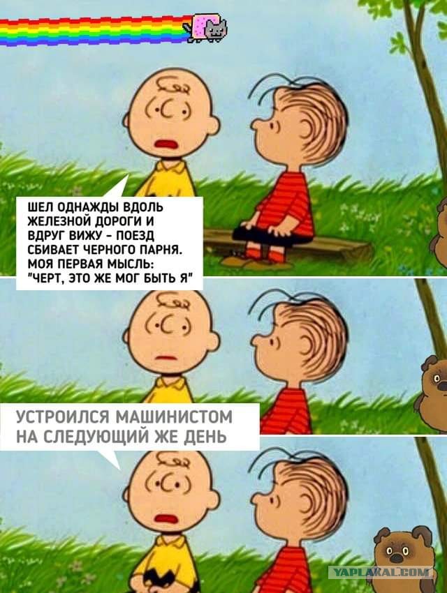 Нетолератные размышления американского профессора-еврея о чернокожих американцах