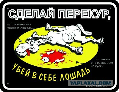Древние мемы с ВК. Для тех кто забыл #3