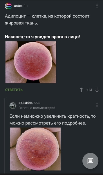 Разнокартинок псто 08.03.20