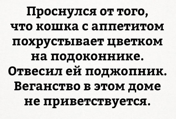 Путин, Конституция, прочее жЁ - ничего этого