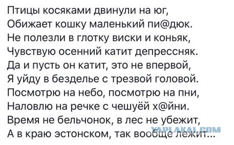 Немного картинок для настроения 10.04.20