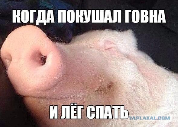 Если бы Украинцы выбирали президента Белоруссии