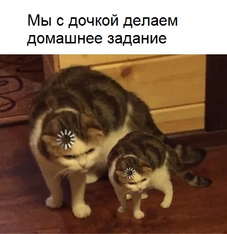 Бредзона 28.09.20