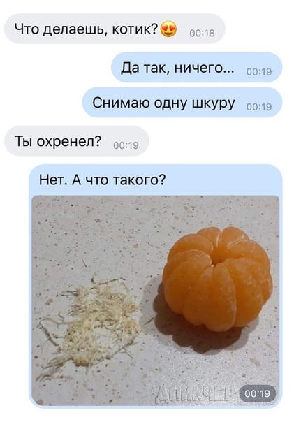 Картинки из рабочего чата 24.10