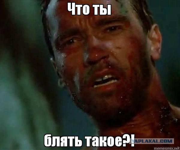 Давайте поможем существу определиться