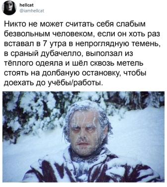 Картинки и мемы для настроения 027