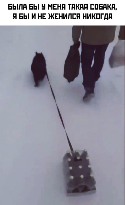 Так себе картинки 24.02.21