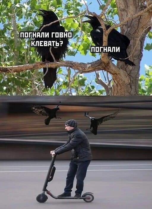 Немного картинок разной степени новизны и адекватности - 10